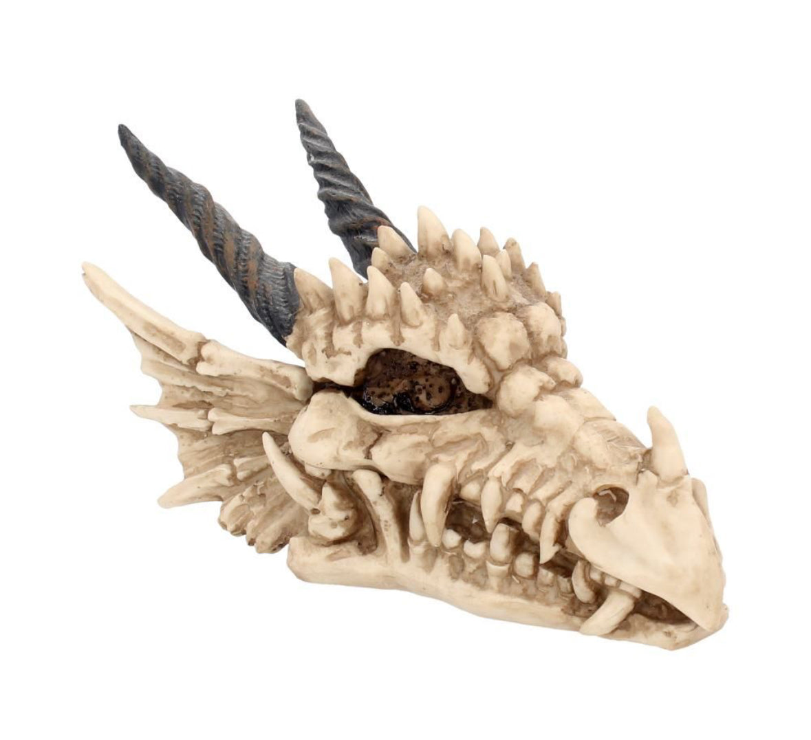 Dragon Skull Box 20cm