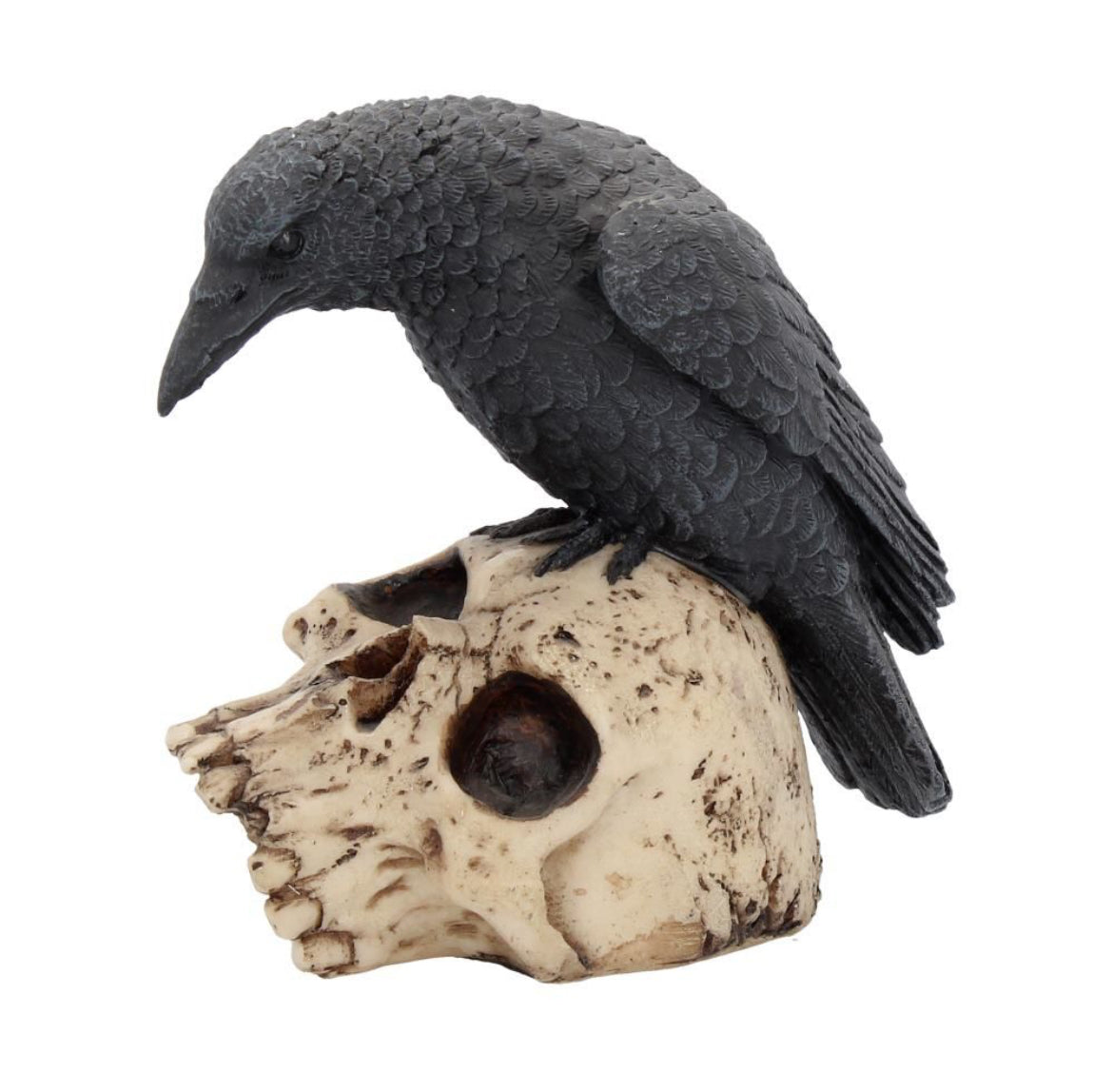 Ravens Remains 13cm