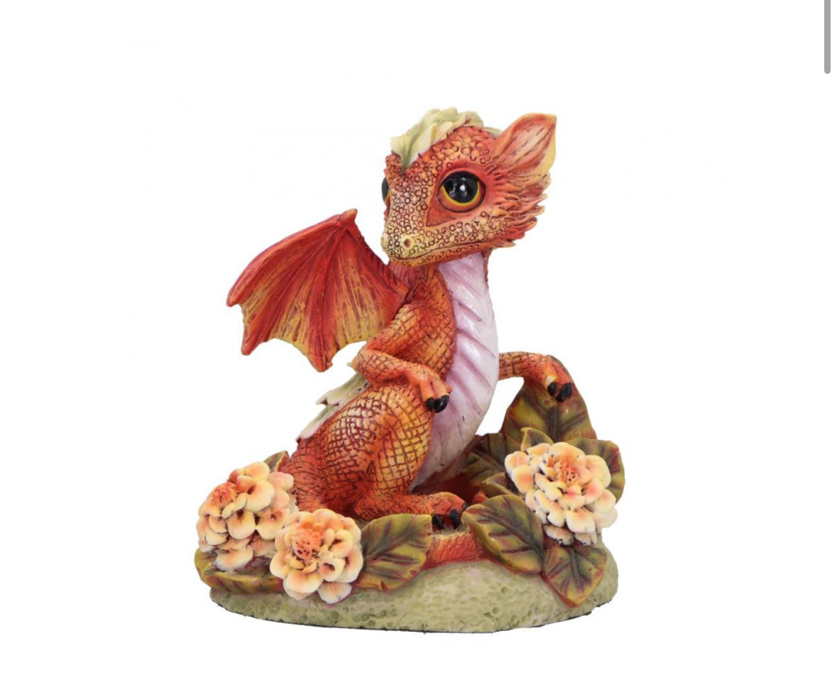 Marigold Flower
Dragon