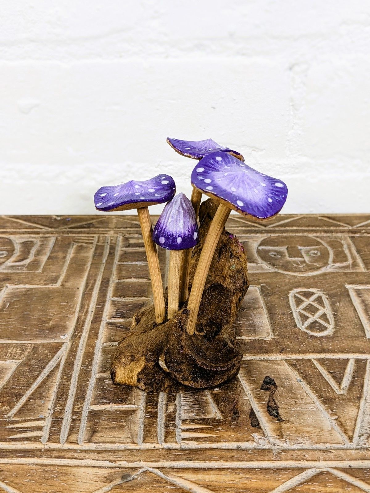 Purple Mushrooms