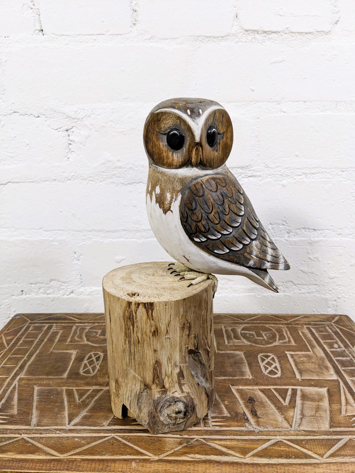 Owl On Log